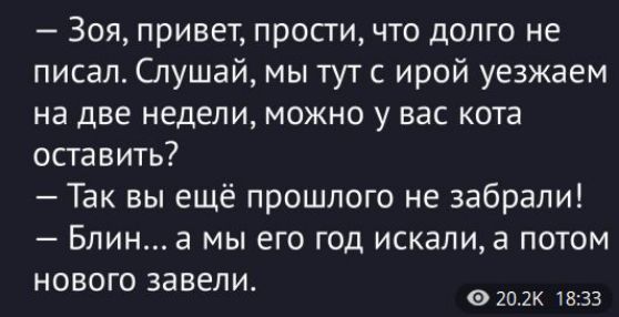 - Зоя, привет, прости, что долго не писал. Слушай, мы тут с ирой уезжаем на две недели, можно у вас кота оставить?
- Так вы ещё прошлого не забрали!
- Блин... а мы его год искали, а потом нового завели.