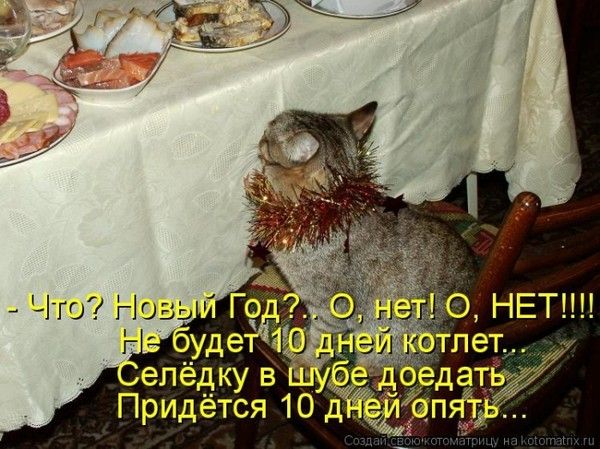 - Что? Новый Год?. О, нет! О, НЕТ!!!! Не будет 10 дней котлет? Селедку в шубе доедать. Придётся 10 дней опять...
