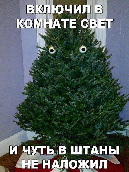 ВКЛЮЧИЛ В КОМНАТЕ СВЕТ
И ЧУТЬ В ШТАНЫ НЕ НАЛОЖИЛ