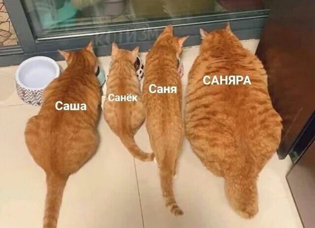 Саша
Санёк
Саня
САНЯ