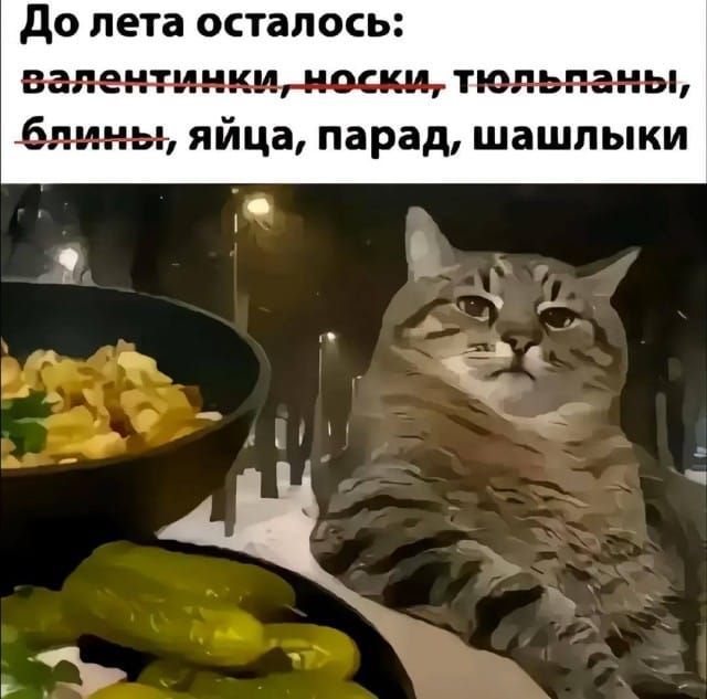 До лета осталось:
валентинки, носки, тюльпаны, блины, яйца, парад, шашлыки