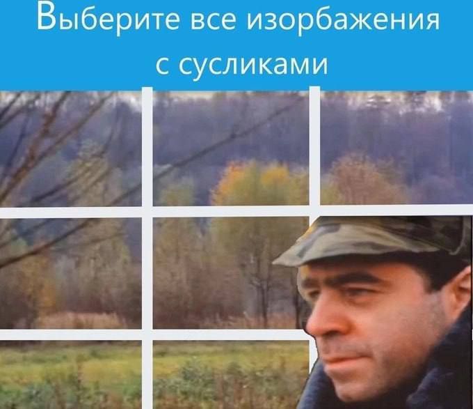 Выберите все изображения с сусликами
Session ID: 1030222.