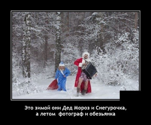 Это зимой они Дед Мороз и Снегурочка, а летом фотограф и обезьянка