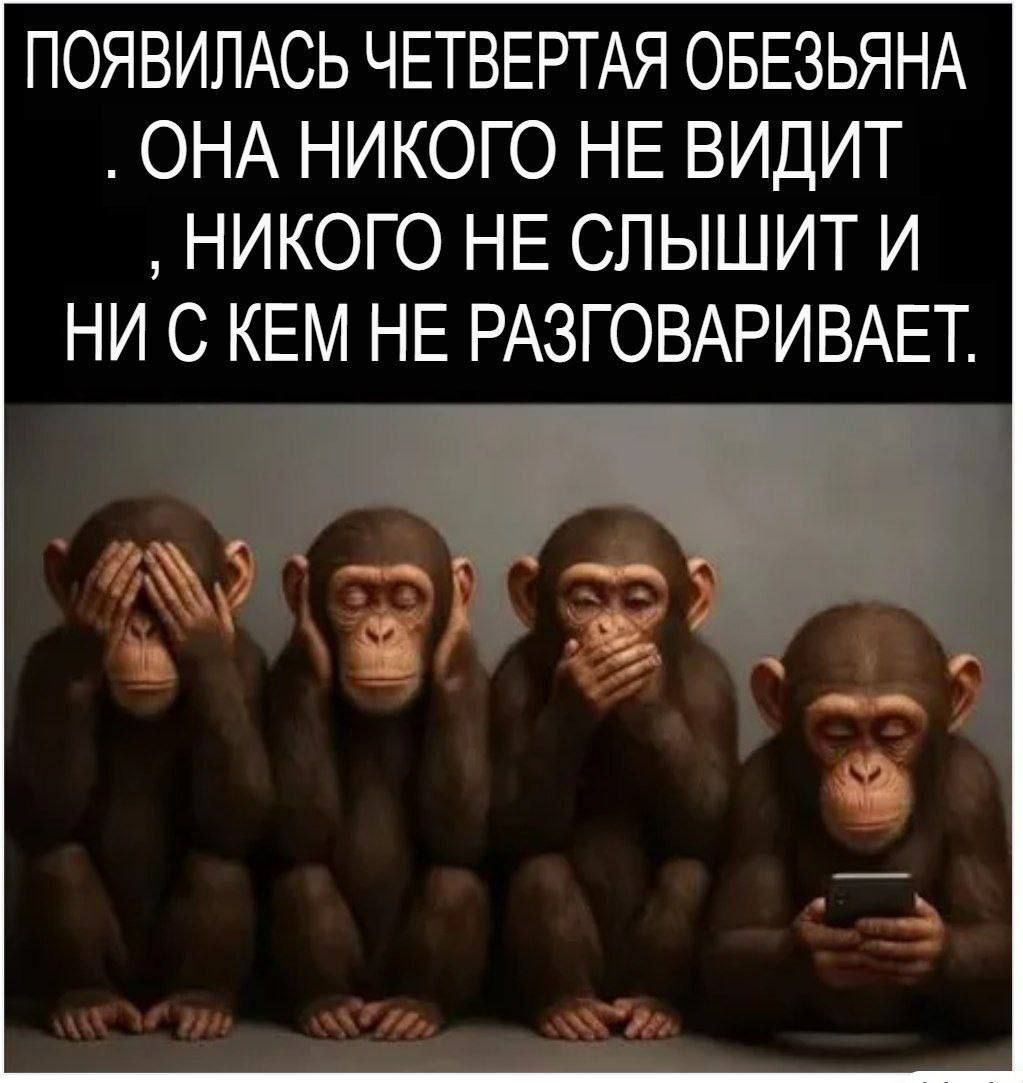 ПОЯВИЛАСЬ ЧЕТВЕРТАЯ ОБЕЗЬЬЯНА. ОНА НИКОГО НЕ ВИДИТ, НИКОГО НЕ СЛЫШИТ И НИ С КЕМ НЕ РАЗГОВАРИВАЕТ.
