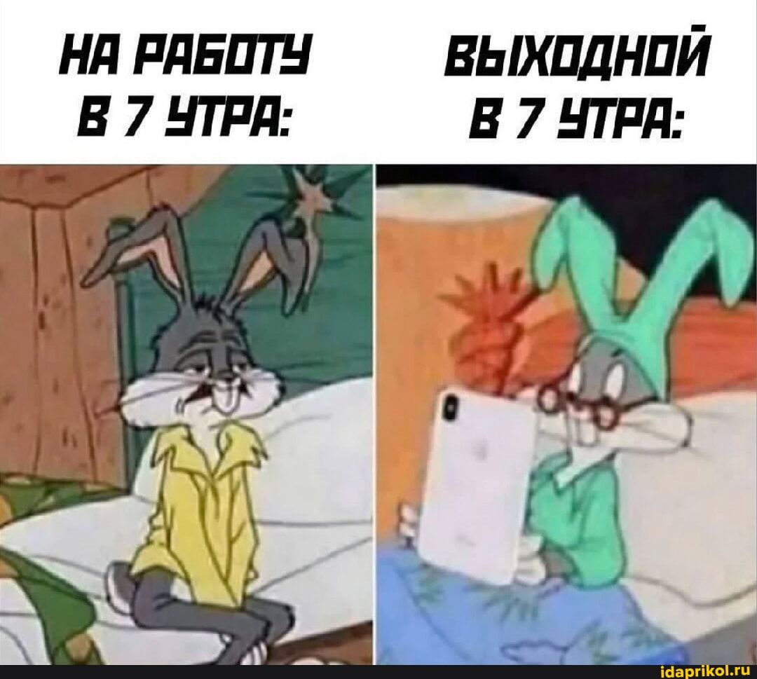 НА РАБОТУ В 7 УТРА:
ВЫХОДНОЙ В 7 УТРА: