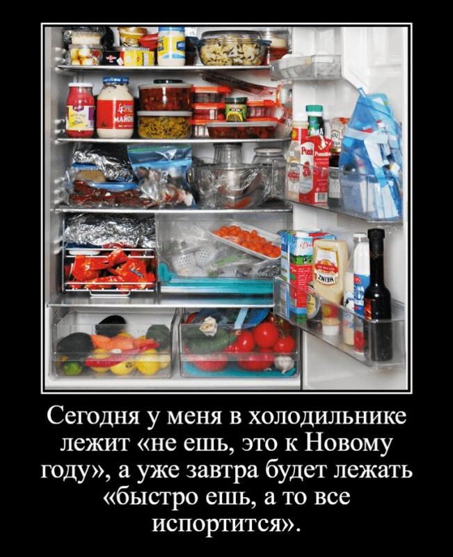 Сегодня у меня в холодильнике лежит «не ешь, это к Новому году», а, уже завтра будет лежать «быстро ешь, а то все испортится».