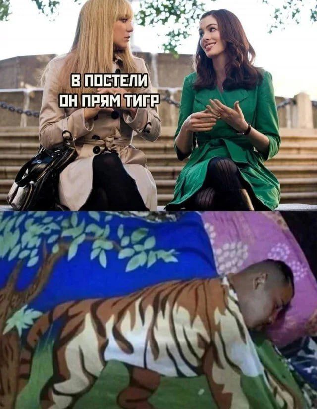 в постели он прям тигр