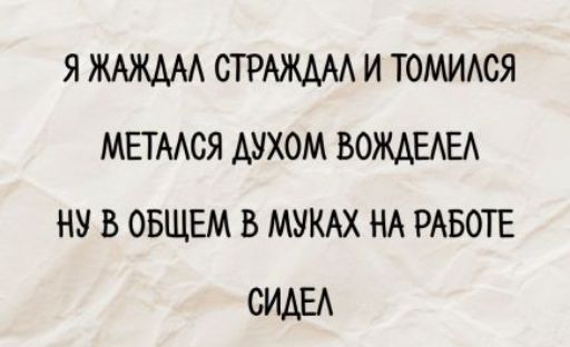 Я ЖАЖДАЛ СТРАЖДАЛ И ТОМИЛСЯ
МЕТАЛСЯ ДУХОМ ВОЖДЕЛЕЛ
НУ В ОБЩЕМ В МУКАХ НА РАБОТЕ
СИДЕЛ