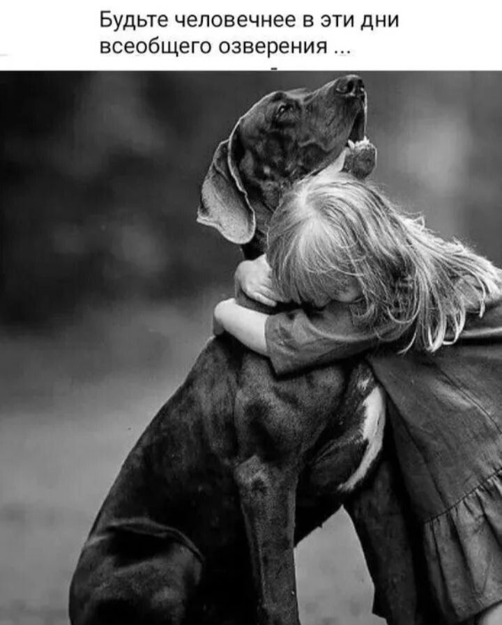 Будьте человечнее в эти дни всеобщего озверения ...