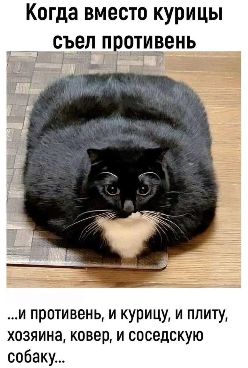 Когда вместо курицы съел противень
...и противень, и курицу, и плиту, хозяина, ковер, и соседскую собаку...