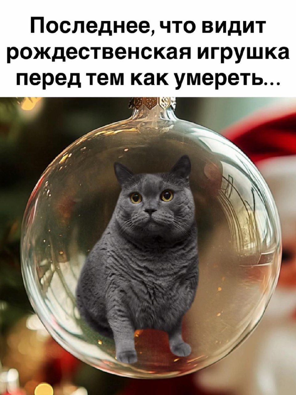 Последнее, что видит рождественская игрушка перед тем как умереть...