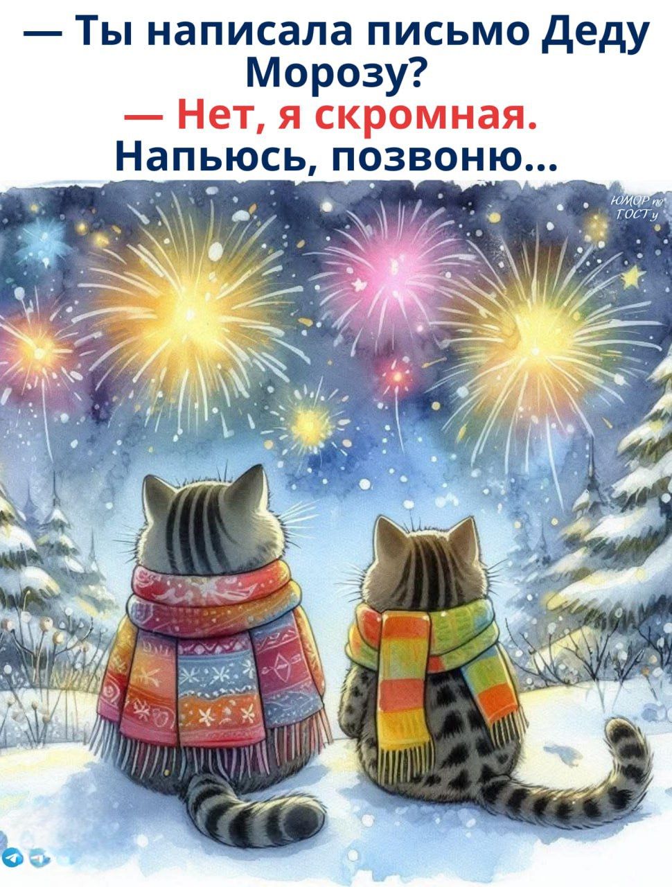 — Ты написала письмо Деду Морозу? — Нет, я скромная. Напьюсь, позвоню...