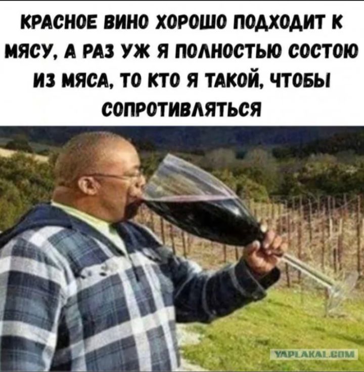 КРАСНОЕ ВИНО ХОРОШО ПОДХОДИТ К МЯСУ, А РАЗ УЖ Я ПОЛНОСТЬЮ СОСТОЮ ИЗ МЯСА, ТО КТО Я ТАКОЙ, ЧТОБЫ СОПРОТИВЛЯТЬСЯ