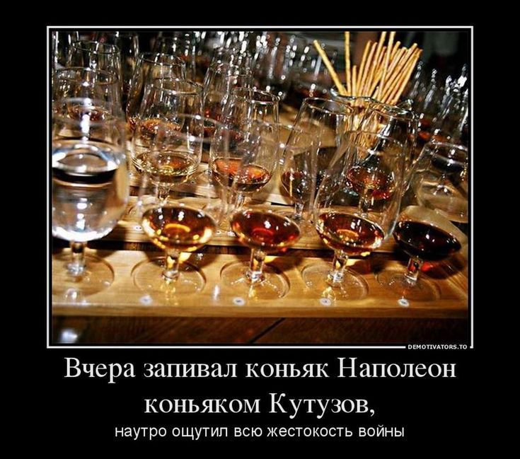 Вчера запивал коньяк Наполеон коньяком Кутузов, наутро ощутил всю жестокость войны