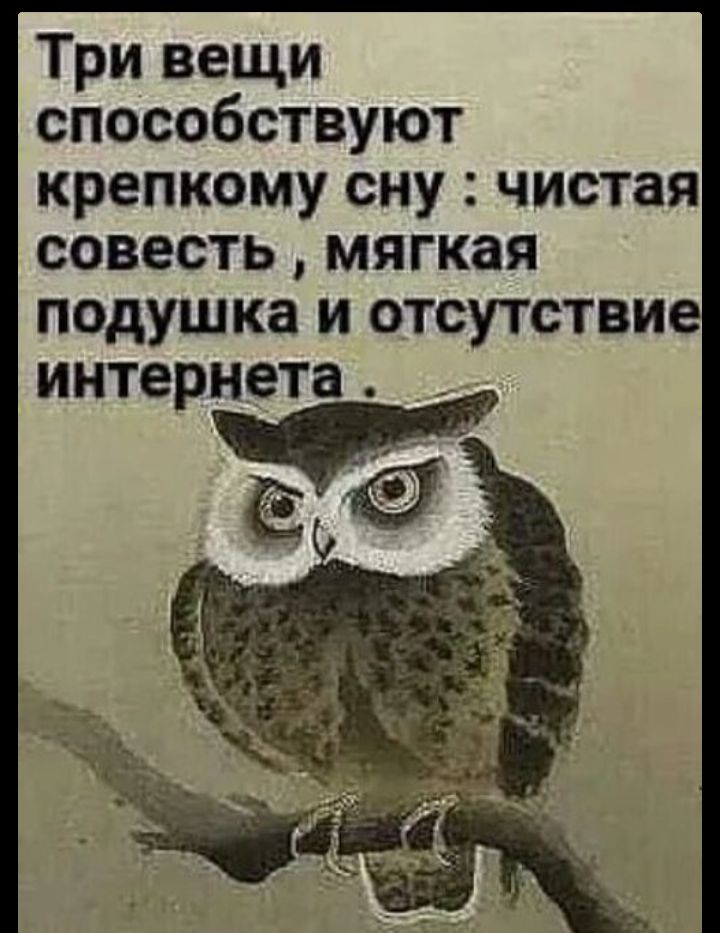 Три вещи способствуют крепкому сну : чистая совесть , мягкая подушка и отсутствие интернета.