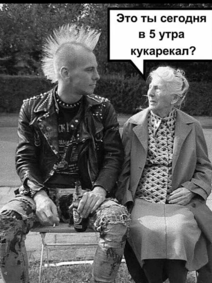 Это ты сегодня в 5 утра кукарекал?