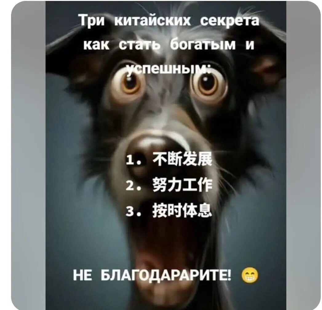 Три китайских секрета как стать богатым и успешным! 1. 不断发展 2. 努力工作 3. 按时休息 НЕ БЛАГОДАРИТЕ! 😬