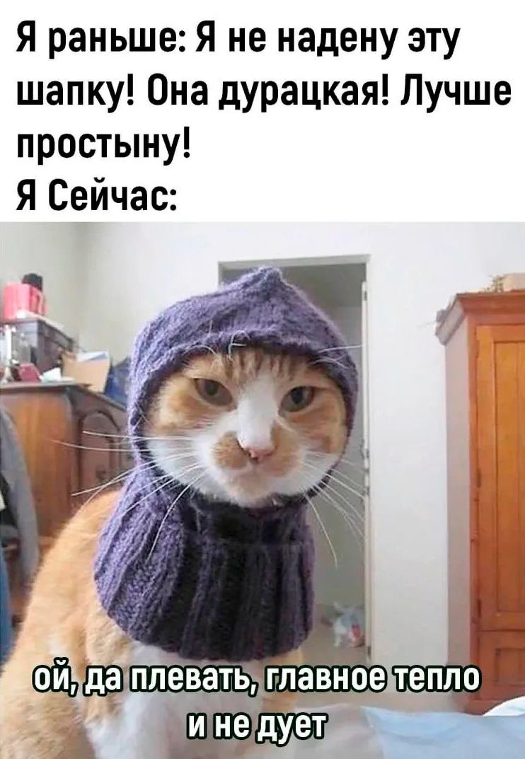 Я раньше: Я не надену эту шапку! Она дурацкая! Лучше простыну! Я Сейчас: ой, да плевать, главное тепло и не дует