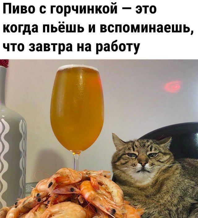 Пиво с горчичкой — это когда пьёшь и вспоминаешь, что завтра на работу