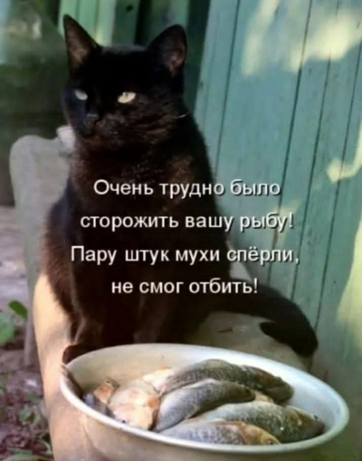 Очень трудно было осторожить вашу рыбу! Пару штук мух спёрли, не смог отбить!