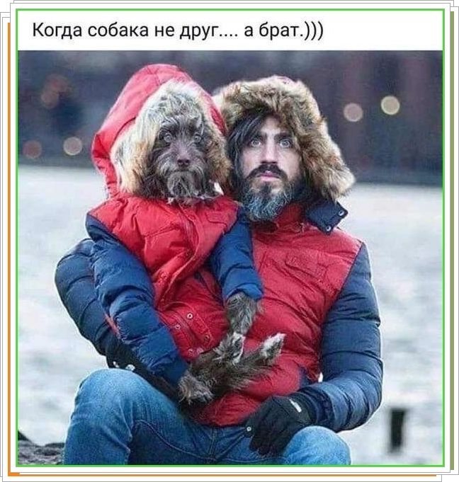 Когда собака не друг.... а брат.))