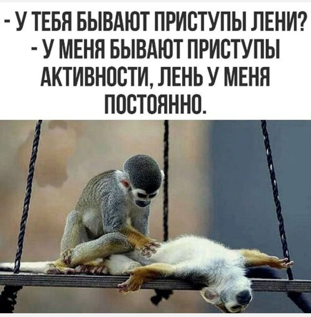 - У ТЕБЯ БЫВАЮТ ПРИСТУПЫ ЛЕНИ? - У МЕНЯ БЫВАЮТ ПРИСТУПЫ АКТИВНОСТИ, ЛЕНЬ У МЕНЯ ПОСТОЯННО.