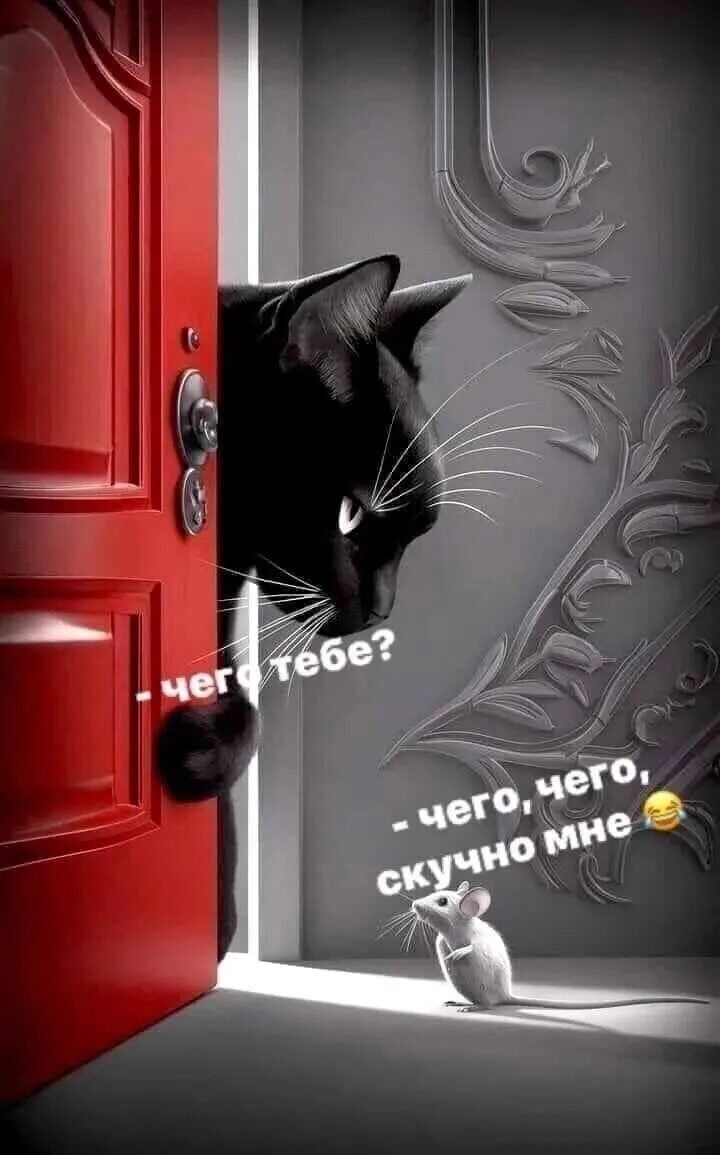 - чего тебе?
- чего, чего, скучно мне 😂