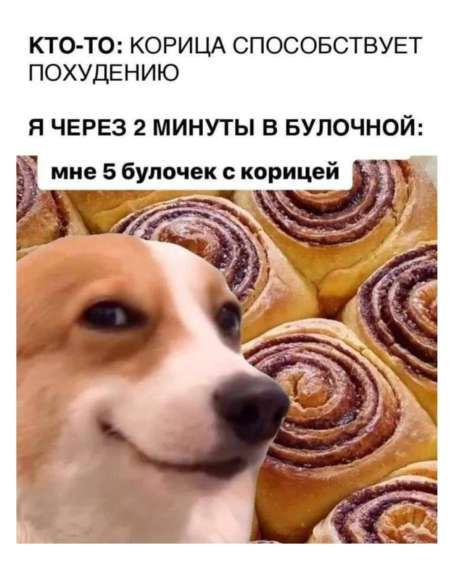 КТО-ТО: КОРИЦА СПОСОБСТВУЕТ ПОХУДЕНИЮ Я ЧЕРЕЗ 2 МИНУТЫ В БУЛОЧНОЙ: мне 5 булочек с корицей