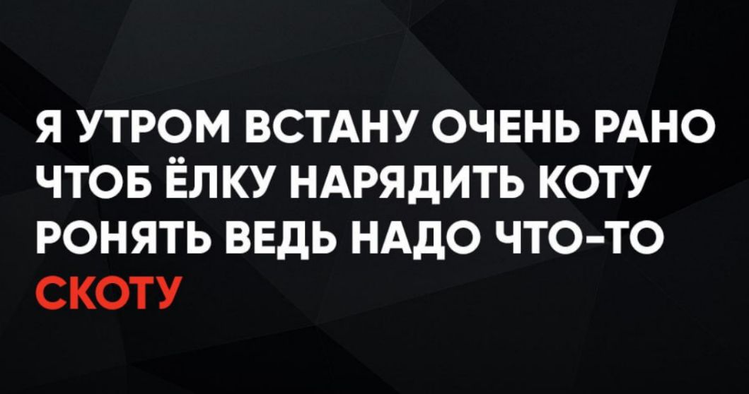 Я УТРОМ ВСТАНУ ОЧЕНЬ РАНО ЧТОБ ЁЛКУ НАРЯДИТЬ КОТУ РОНЯТЬ ВЕДЬ НАДО ЧТО-ТО СКОТУ