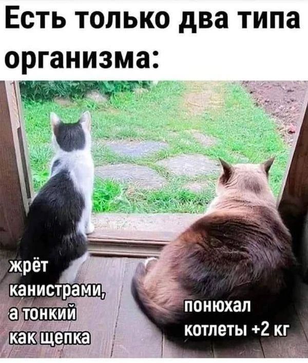 Есть только два типа организма:
жрёт канистрами, а тонкий как щепка
понюхал котлеты +2 кг