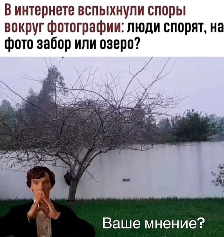 В интернете вспыхнули споры вокруг фотографии: люди спорят, на фото забор или озеро? Ваше мнение?
