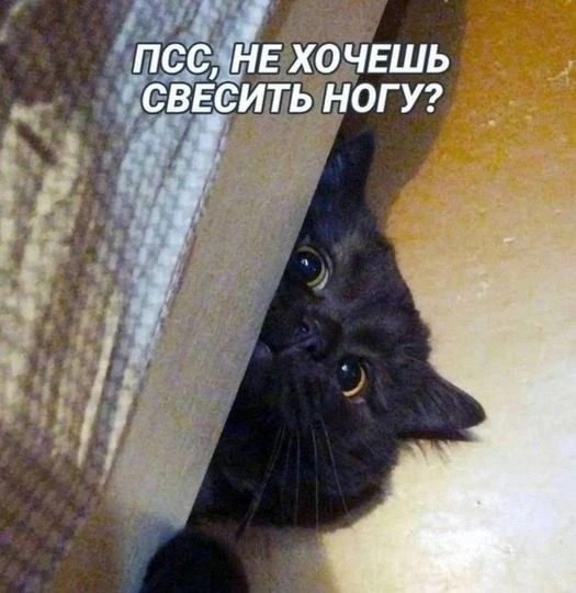ПСС, НЕ ХОЧЕШЬ СВЕСИТЬ НОГУ?