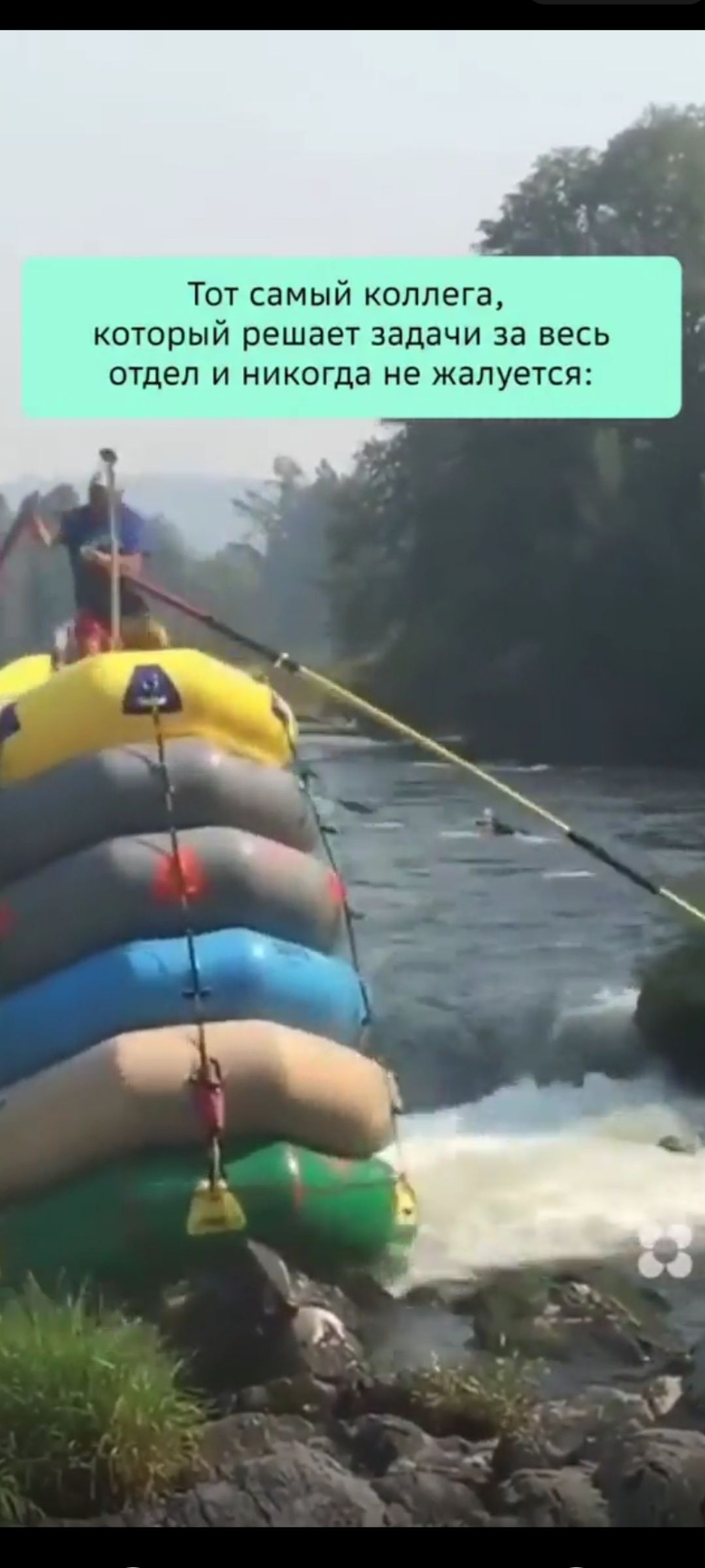 Тот самый колега, который решает задачи за весь отдел и никогда не жалуется: