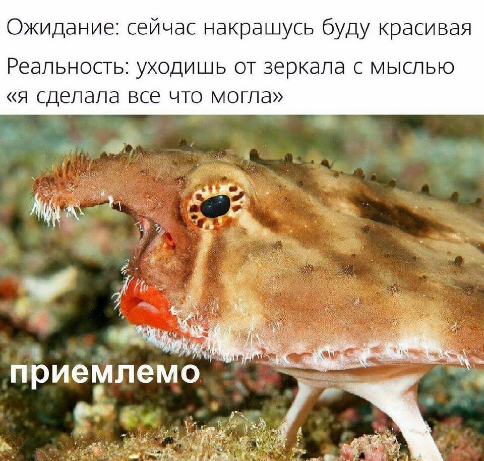 Ожидание: сейчас накрасусь буду красивая
Реальность: уходишь от зеркала с мыслью «я сделала все что могла»
приемлемо