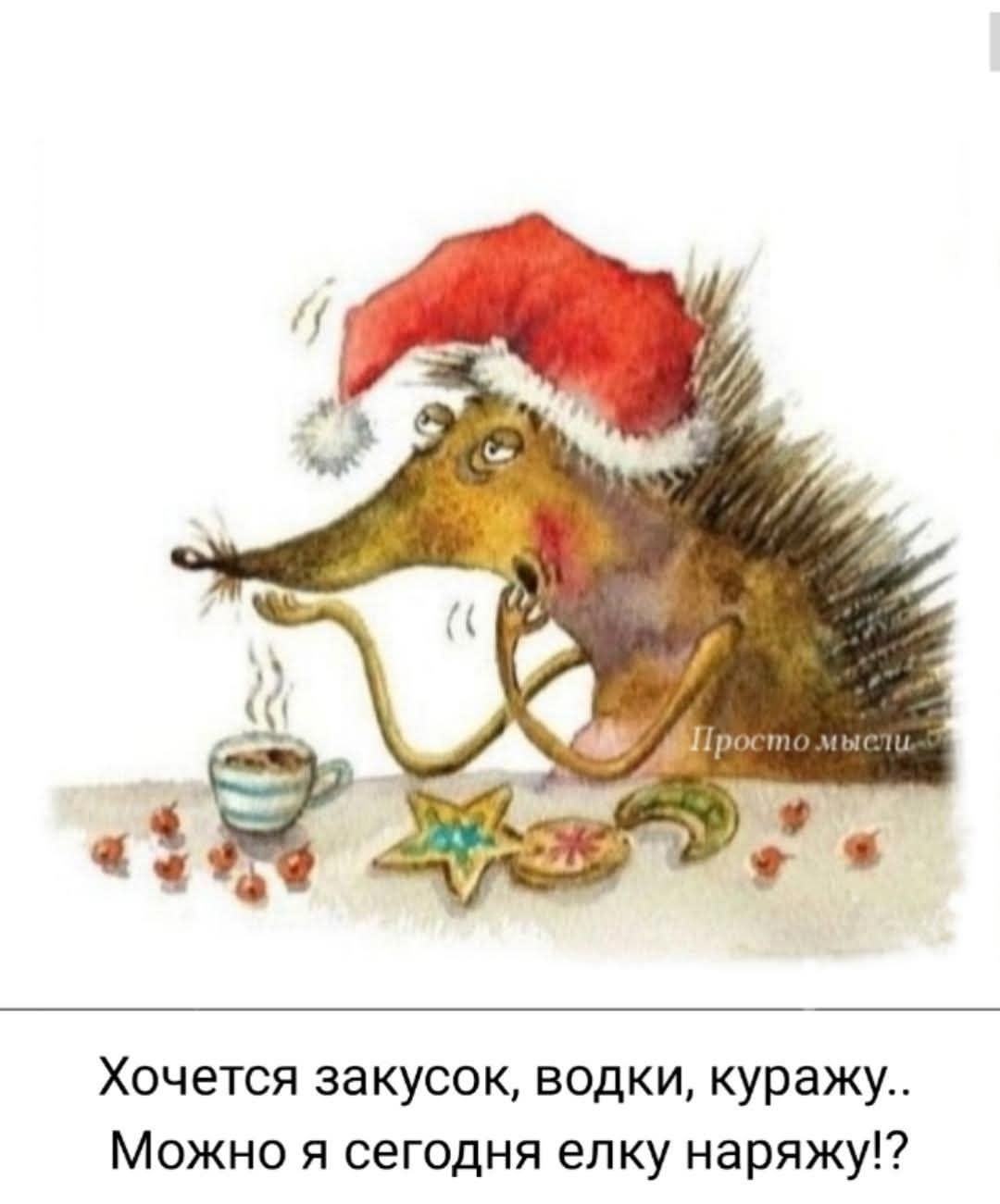 Просто мысли... Хочется закусок, водки, куражу.. Можно я сегодня елку наряжу!?