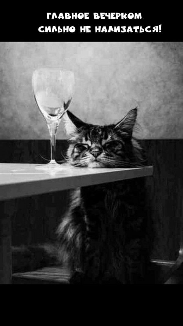 ГЛАВНОЕ ВЕЧЕРКОМ СИЛЬНО НЕ НАЛИЗЫВАТЬСЯ!