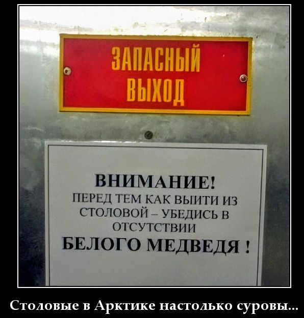 ЗАПАСНЫЙ ВЫХОД
ВНИМАНИЕ!
ПЕРЕД ТЕМ КАК ВЫЙТИ ИЗ СТОЛОВОЙ – УБЕДИСЬ В ОТСУТСТВИИ БЕЛОГО МЕДВЕДЯ !
Столовые в Арктике настолько суровы...