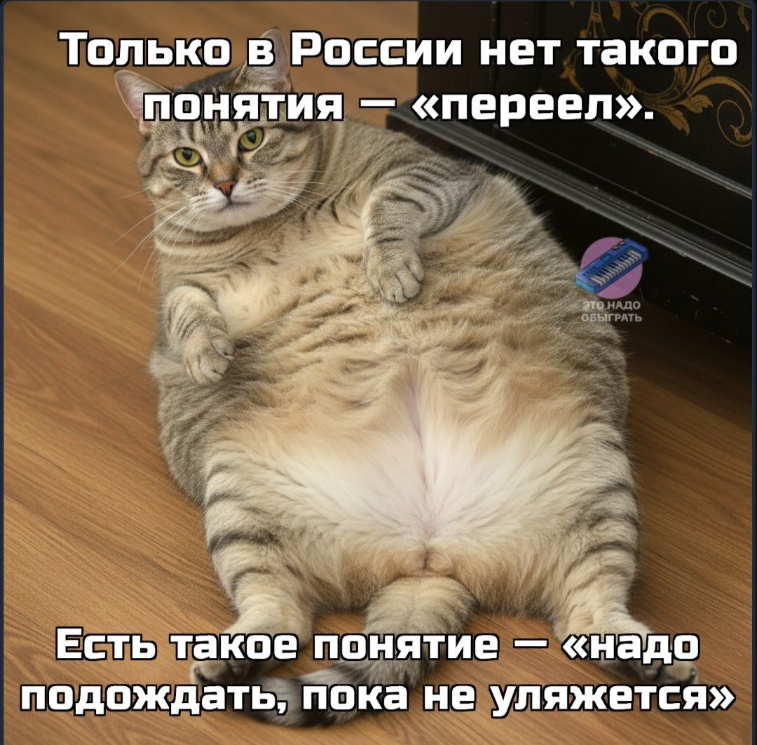 Только в России нет такого понятия — «переел».\nЕсть такое понятие — «надо подождать, пока не уляжется»