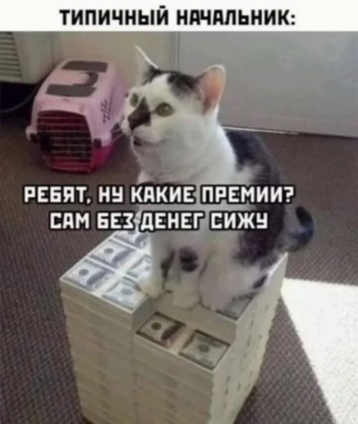 ТИПИЧНЫЙ НАЧАЛЬНИК: РЕБЯТ, НУ КАКИЕ ПРЕМИИ? САМ БЕЗ ДЕНЕГ СИЖУ