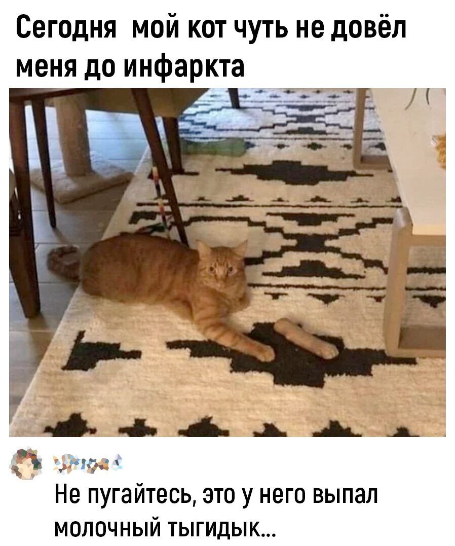 Сегодня мой кот чуть не довёл меня до инфаркта
Не пугайтесь, это у него выпал молочный тигдик...