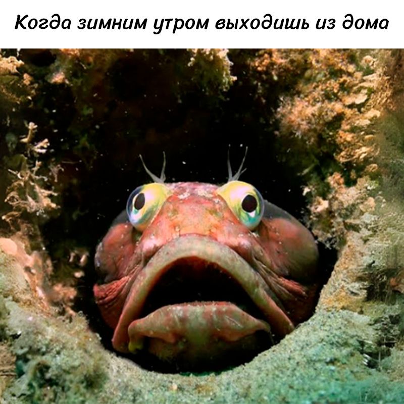 Когда зимним утром выходишь из дома