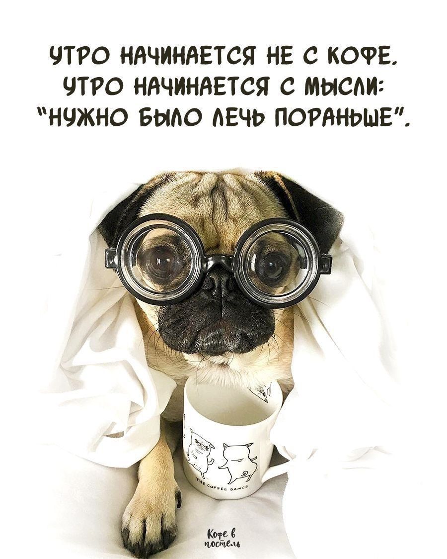 УТРО НАЧИНАЕТСЯ НЕ С КОФЕ, УТРО НАЧИНАЕТСЯ С МЫСЛИ: «НУЖНО БЫЛО ЛЕЧЬ ПОРАНЬЕ».