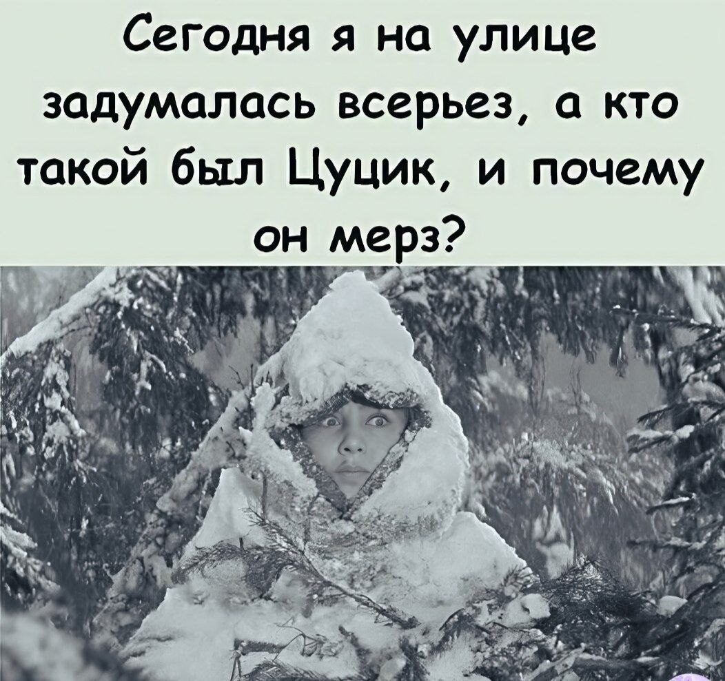 Сегодня я на улице задумалась всерьез, а кто такой был Цуцик, и почему он мерз?