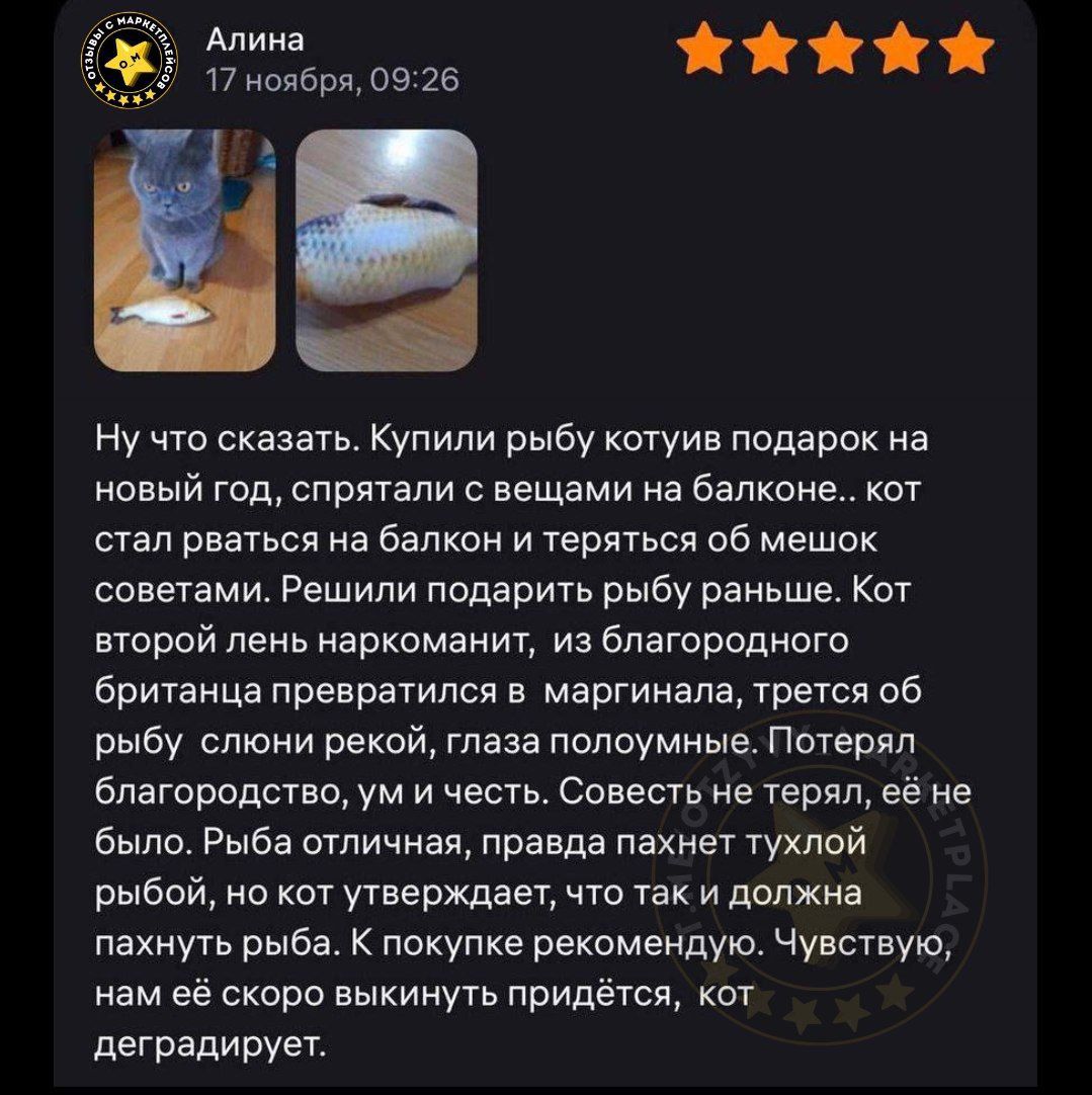 Ну что сказать. Купили рыбу коту в подарок на новый год, спрятали с вещами на балконе.. кот стал рваться на балкон и трется об мешок с советами. Решили подарить рыбу раньше. кот второй лень наркоманит, из благородного британца превратился в маргинала, трет об рыбу слоны рекой, глаза полууные. Потерял благородство, ум и честь. Совесть не терял, её н
