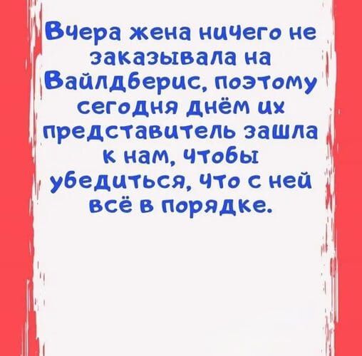 Вчера жена ничего не заказывала на Вайлдберис, поэтому сегодня днём их представитель зашла к нам, чтобы убедиться, что с ней всё в порядке.