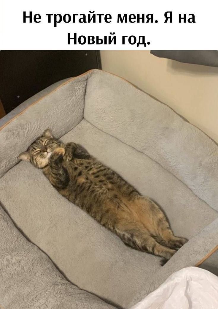 Не трогайте меня. Я на Новый год.