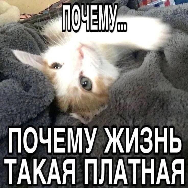 ПОЧЕМУ ... ПОЧЕМУ ЖИЗНЬ ТАКАЯ ПЛАТНАЯ