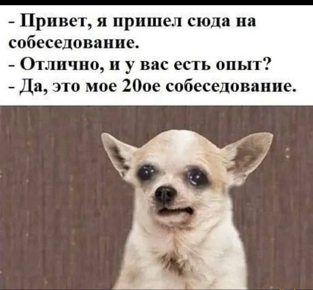 - Привет, я пришёл сюда на
собеседование.
- Отлично, и у вас есть опыт?
- Да, это мое 20ое собеседование.