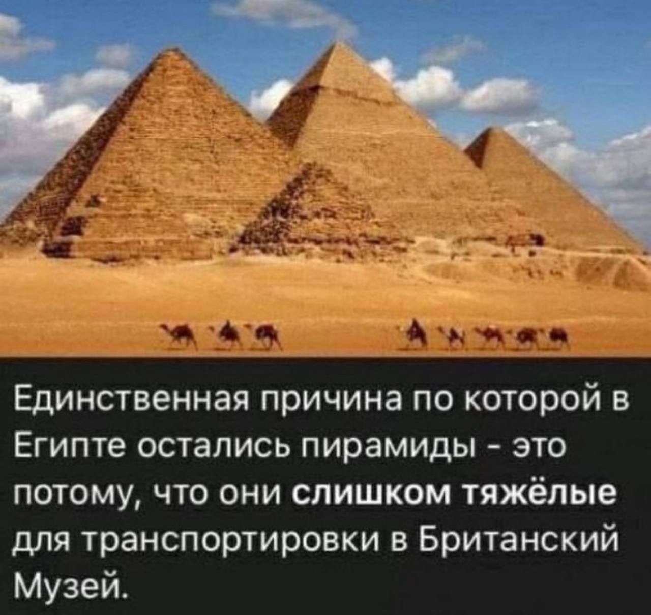 Единственная причина по которой в Египте остались пирамиды - это потому, что они слишком тяжёлые для транспортировки в Британский музей.