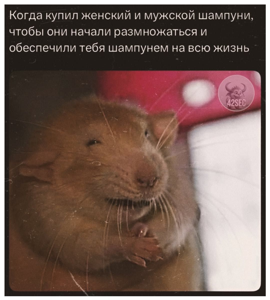 Когда купил женский и мужской шампуни, чтобы они начали размножаться и обеспечить тебя шампунем на всю жизнь -